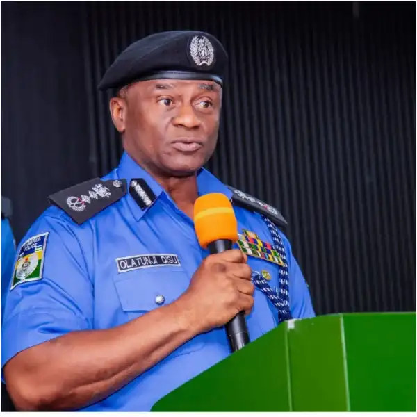 Provide equipment, improve welfare of police officers – IGP Disu begs Nigerian govt