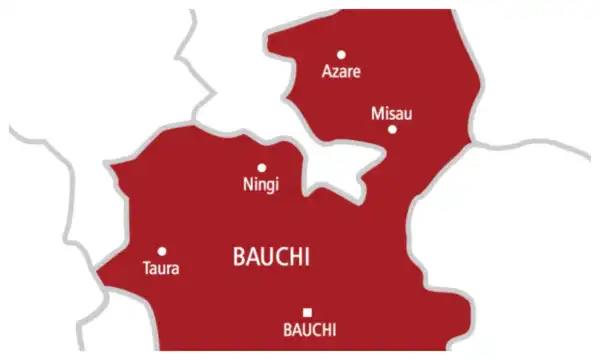 Woman critically injured by phone snatchers near Bauchi university