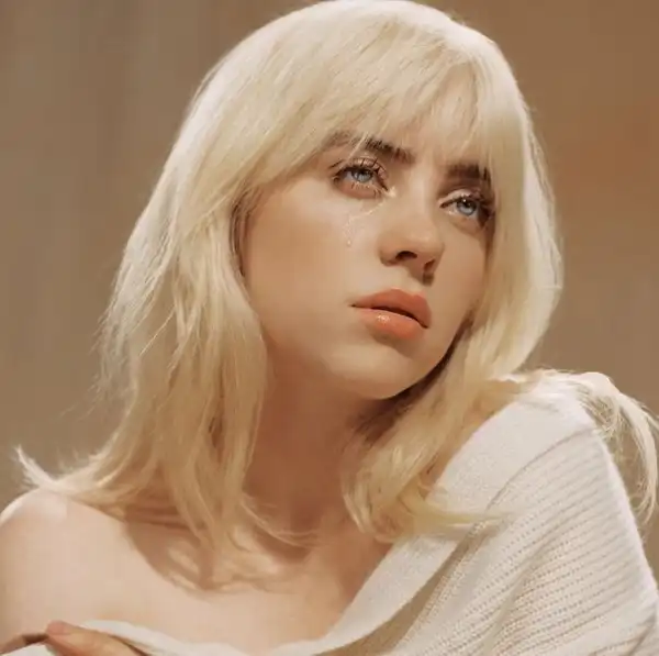 Billie Eilish Gets 5-year Restraining Order Against Intruder Who Broke Into Her Childhood Home