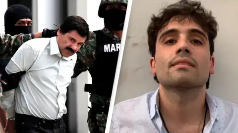 El Chapo's son, Ovidio Guzman Lopez is extradited from Mexico to Chicago to face charges of smuggling huge quantities of meth and fentanyl to US