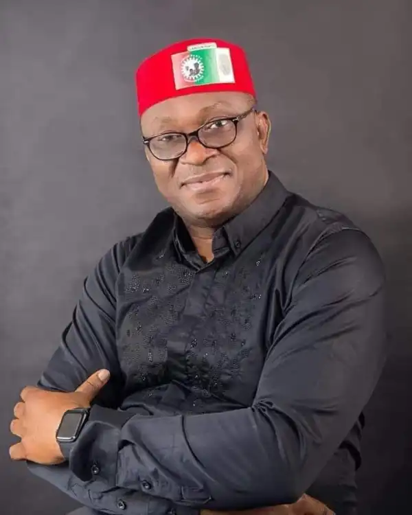 Ex-lawmaker, Okorie dismisses claims of juicy project allocation to South-East under Tinubu