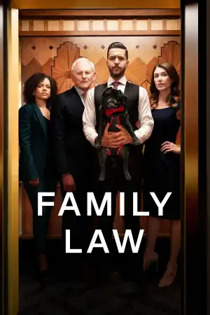 Family Law (2021 TV series)