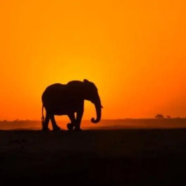 Mr Jazzi Q, DJ Maphorisa, Musa Keys ,Soa Mattrix – Amapiano Mix 016 | 09 APR 2021