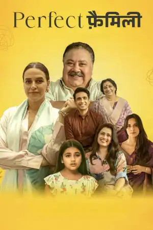 Perfect Family (2026) [Hindi] (TV series)
