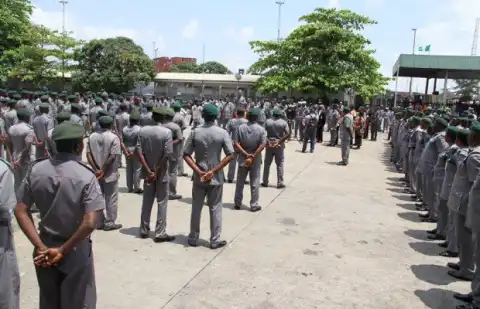 Customs Impounds Trailers Of Rice, Tramadol, Indian Hemp Worth N7.1 Billion
