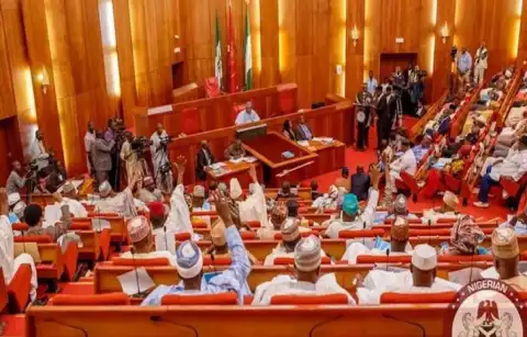 Senate urges Nigerian govt to declare kebbi insecurity, displacement national emergency