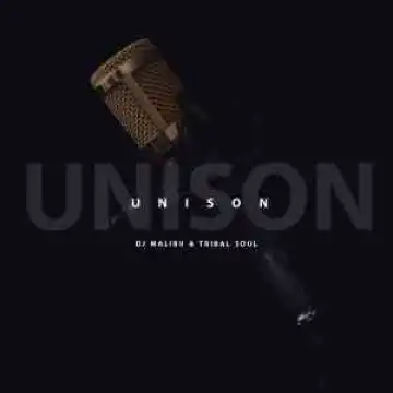 DJ Malibu & Tribal Soul – Unison