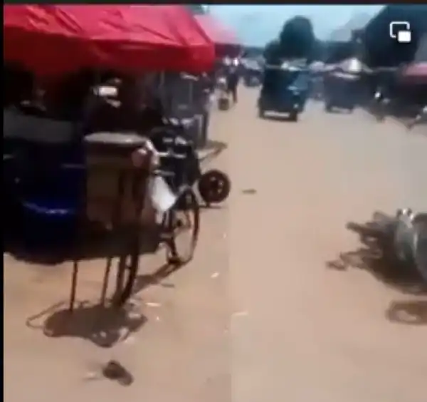 Political will, dialogue necessary to end sit-at-home – Security experts