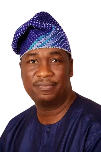 Brain drain: Nigeria must increase capacity to train more doctors – Hamzat