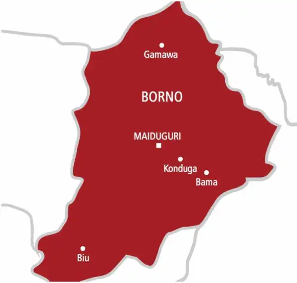 Borno: Soldier stabs ex-military man to death in late-night dispute