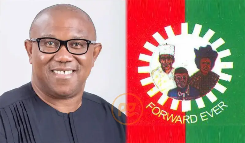 Kano Labour Party gov candidate meets Tinubu