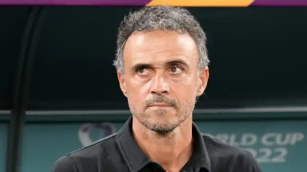 Luis Enrique hits out at Spain criticism following World Cup exit