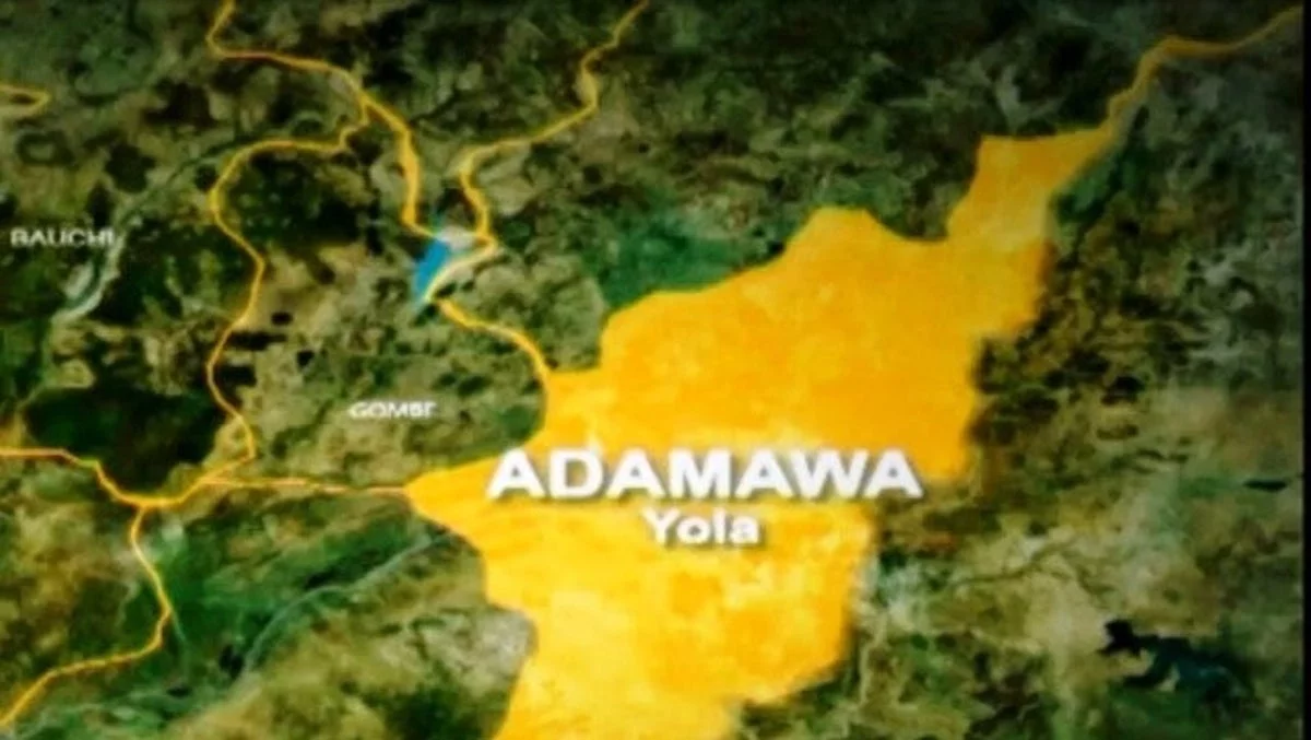 Security forces arrest five suspected criminals in Adamawa