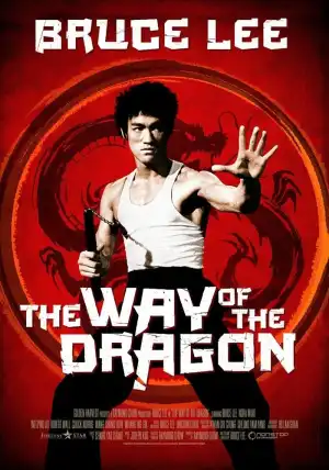 The Way Of The Dragon (1972) [Chinese]