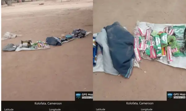 Troops foil ambush, recover supplies linked to terrorists in Borno