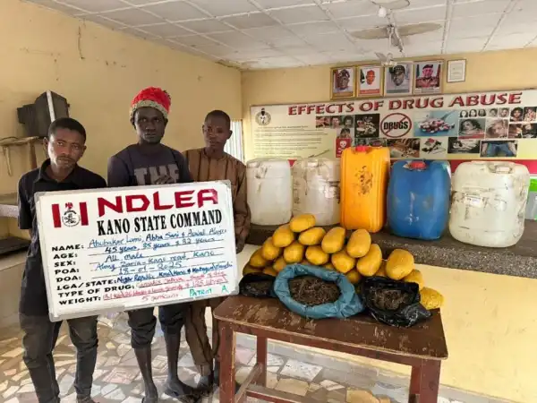 NDLEA intercepts UK-bound illicit drug consignment in duvet at Lagos airport, arrests two