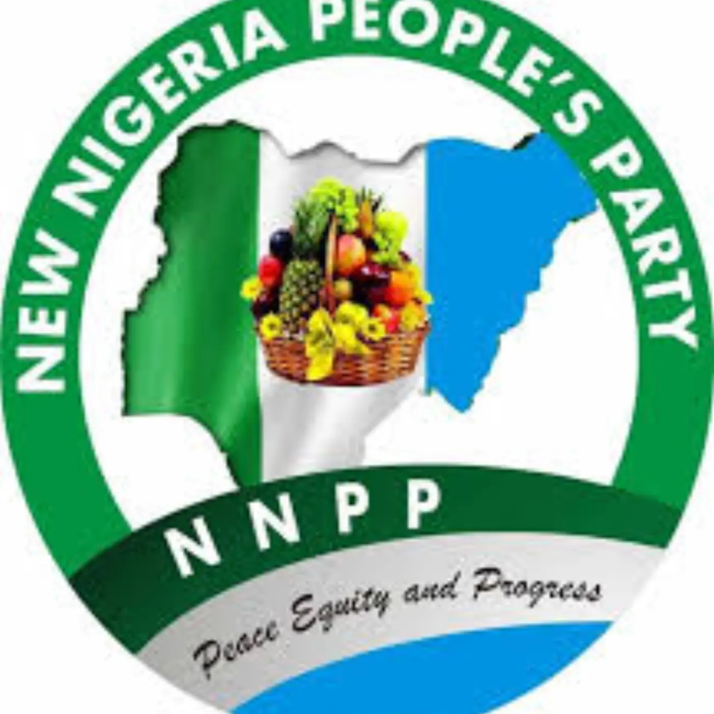Coalition: Ex-presidential candidates can’t speak for parties – NNPP