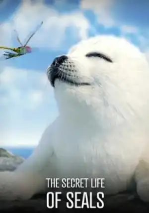 The Secret Life Of Seals (2025)