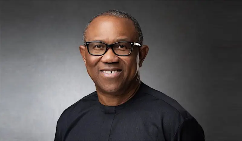PDP, APC, APGA leaders in Peter Obi’s LG defect to Labour Party