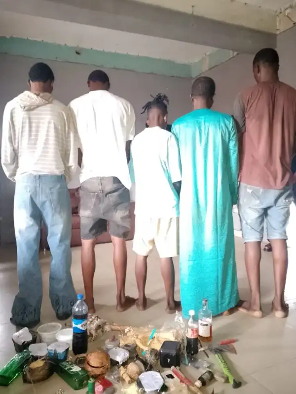 Lagos: Police nab five suspected cultists, recover weapons, hard drugs