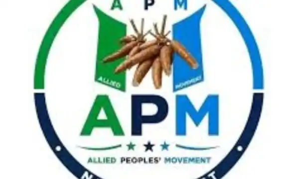 Peter Obi’s presence at Makinde’s campaign office launch a political phenomenon – APM