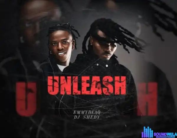 Emmyblaq X Dj Sheddy - Unleash MixTape