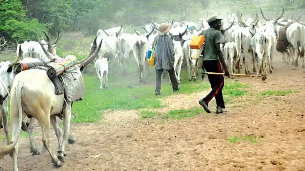 Two killed, one tortured by suspected herdsmen in Benue