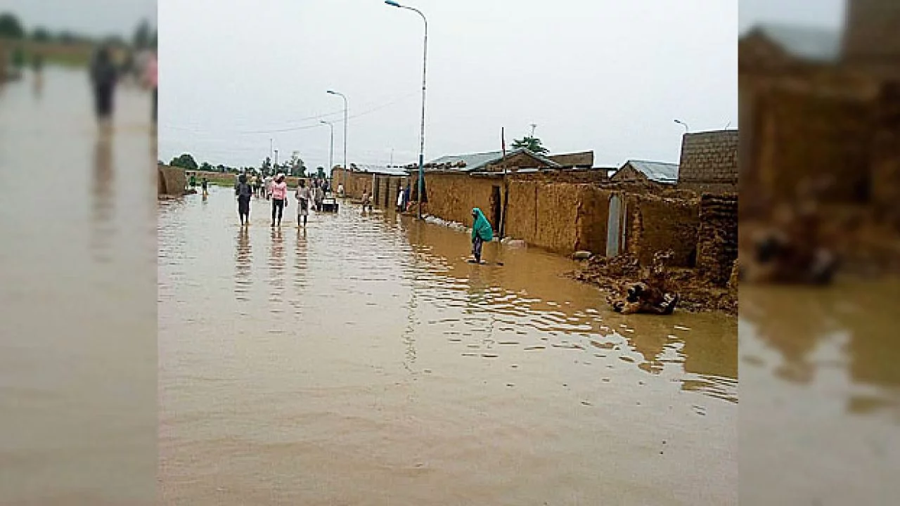 Niger: 207 persons died in Mokwa flood – NSEMA