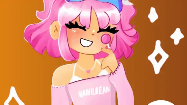 Career & Net Worth Of Vanilbean