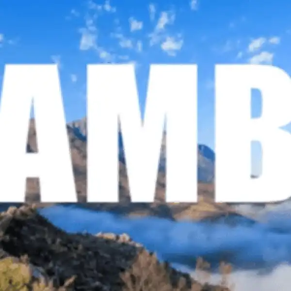 Mfana ka Gogo – Hamba ft. Mdu aka TRP & Kabza de Small