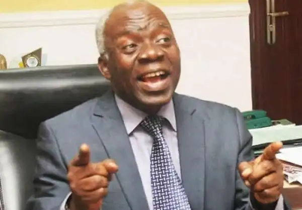Buhari Should Restrain The Police From Disrupting #EndSARS Protest - Falana