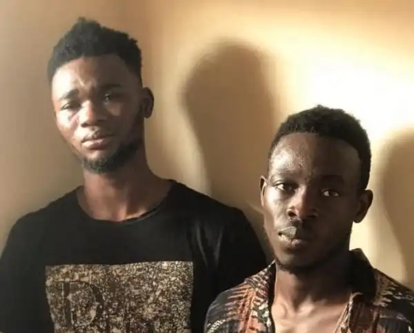 Two Employees Handed Jail Term Of 5-years With Hard Labour For Stealing Chicken Wings And Cooking Oil From Company