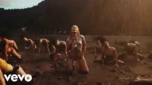 Zara Larsson - Pretty Ugly (Video)
