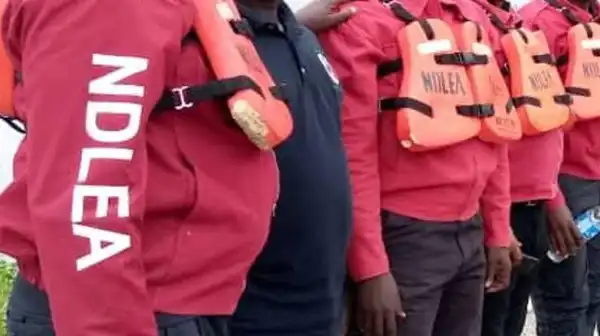 Ndlea Arrest Abuja Socialite For Planting Cannabis In Her Compound (Video)