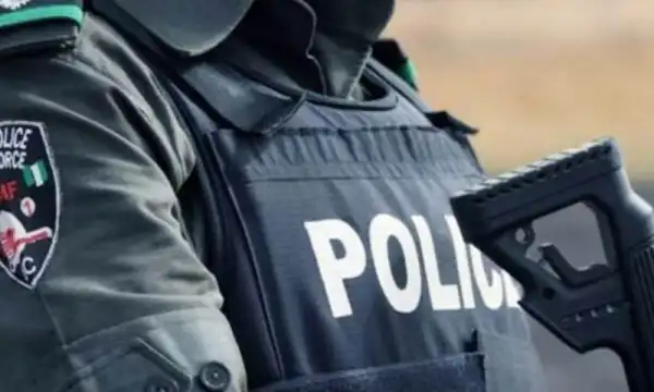 Police arrest suspects over alleged extortion, drug, theft in Yobe raids