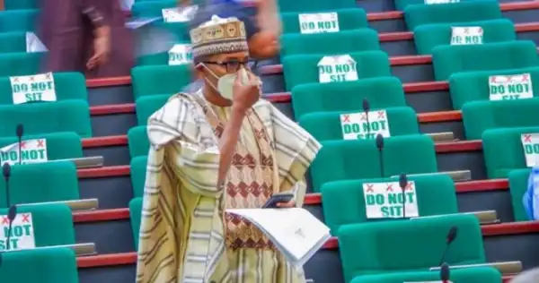 Twitter Not Food, Focus On Real Problems – Daura Lawmaker Tells Nigerian Youths