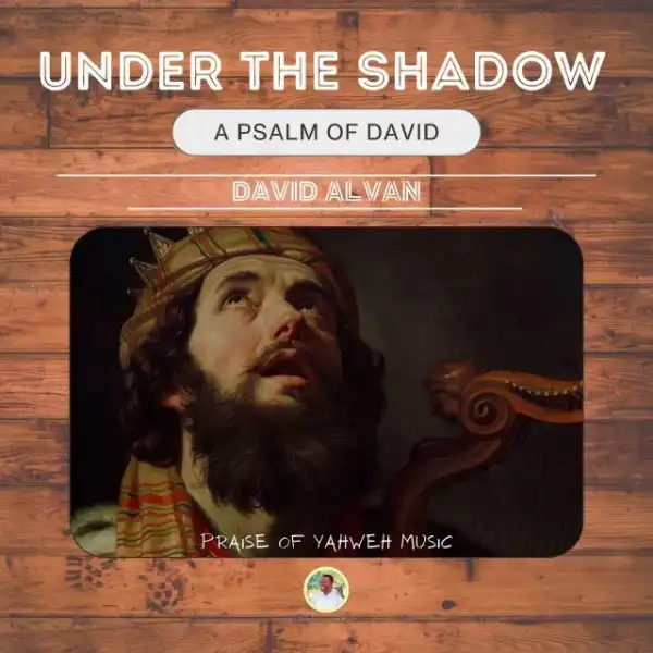 David Alvan – Under The Shadow