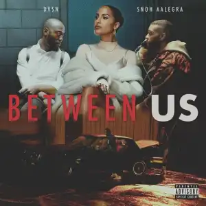 DVSN Ft. Snoh Aalegra - Between Us