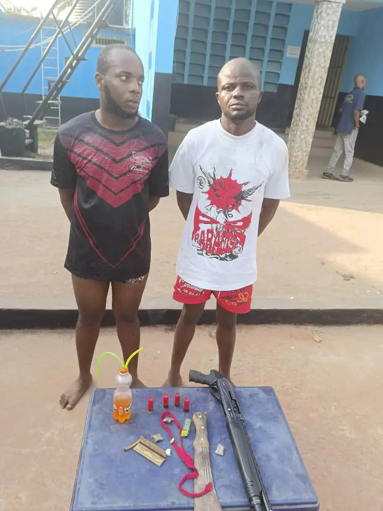 Police arrest two suspects for cultism, armed robbery in Anambra