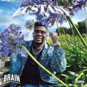 Brain – Fast Life