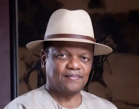 Why there’s increase in terrorism, banditry – Peterside
