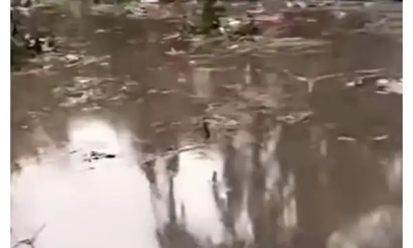Swamp impedes NAF crash recovery, aircraft still submerged – Police give update