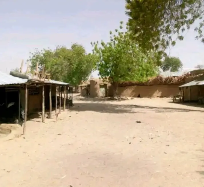 Bandits turn Zamfara community into graveyard, kidnap, kill residents