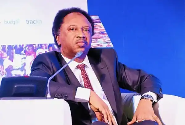 CBN, FAAN: Shehu Sani Knocks Katsina Elders, Questions Morality Behind Action