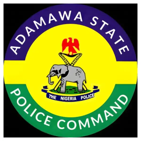 Police seize 117 vehicles over alleged number platesoffenses in Adamawa