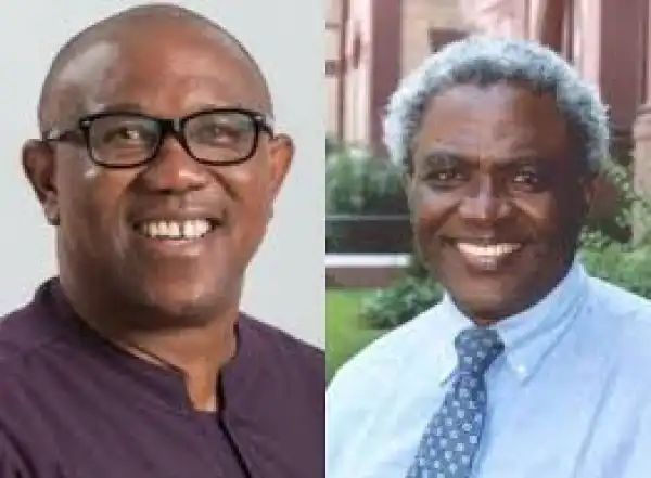 Prof Charles Okigbo Named Communication Head For Peter Obi Campaign.