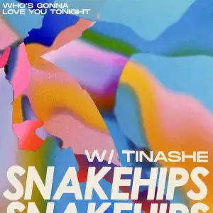 Snakehips & Tinashe – Who’s Gonna Love You Tonight (Instrumental)