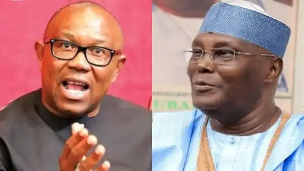 Withdraw Your Case Against Tinubu To Foster National Unity - LP Chieftain Begs Atiku, Obi
