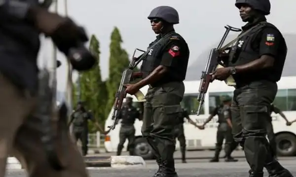 Police recover locally made cut-to-size gun from cultists in Delta