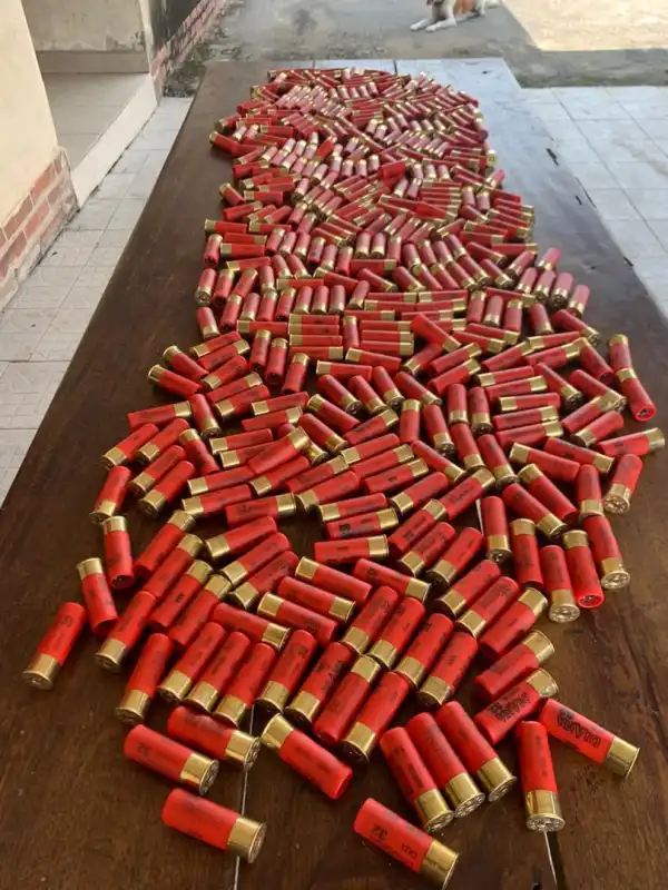Police recover 415 live cartridges in commercial vehicle, arrest suspect